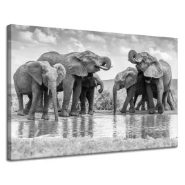 obraz-na-plotnie-slonie-przy-wodzie-szarosc-natura-120x80-cm