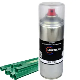 lakier-farba-w-sprayu-do-aluminium-ral-6029-mat