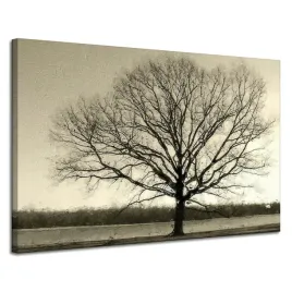 obraz-na-plotnie-ponure-czarne-drzewo-smutek-120x80-cm-idealny-na-prezent