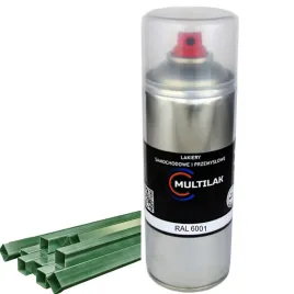 lakier-farba-w-sprayu-do-aluminium-ral-6001-mat