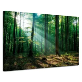 obraz-na-plotnie-las-drzewa-promienie-slonca-120x80-cm-idealny-na-prezent