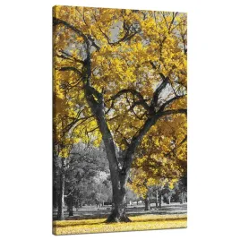 obraz-na-plotnie-czarne-drzewa-zolte-liscie-70x120-cm-idealny-na-prezent