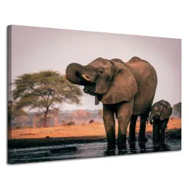 obraz-na-plotnie-slonie-w-wodzie-afryka-natura-120x80-cm-idealny-na-prezent