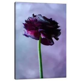 obraz-na-plotnie-botanika-purpurowy-kwiat-40x60-cm