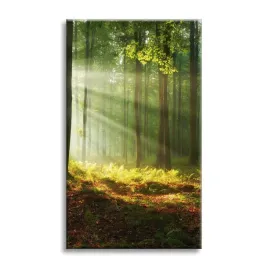 obraz-na-plotnie-swiatlo-w-lesie-natura-drzewa-80x120-cm-idealny-na-prezent