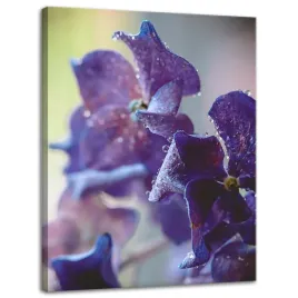 obraz-na-plotnie-botanika-indygo-orchidea-30x40-cm
