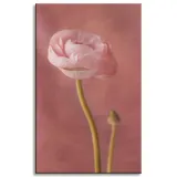 obraz-na-plotnie-botanika-piwonia-pasowa-50x80-cm-stan-nowy