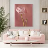obraz-na-plotnie-botanika-piwonia-pasowa-60x90-cm-format-pionowy