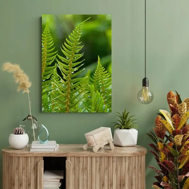 obraz-na-plotnie-botanika-paproc-z-rosa-80x100-cm-sposob-wykonania-druk-cyfrowy