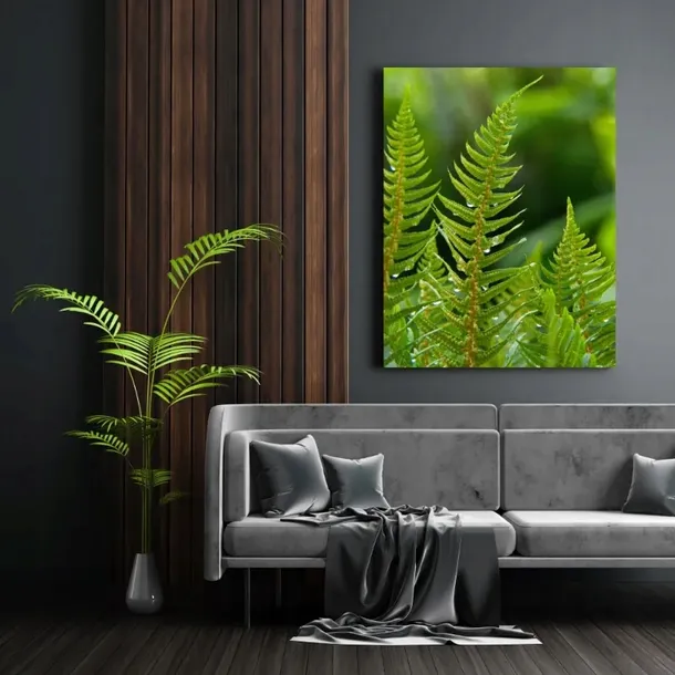obraz-na-plotnie-botanika-paproc-z-rosa-80x100-cm-format-pionowy