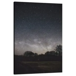 obraz-na-plotnie-kosmos-rozgwiezdzone-niebo-80x120