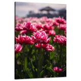 obraz-na-plotnie-botanika-pole-tulipanow-60x90-cm