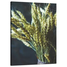 obraz-na-plotnie-botanika-wazon-pszenicy-50x70-cm