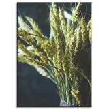 obraz-na-plotnie-botanika-wazon-pszenicy-50x70-cm-stan-nowy