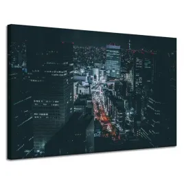 obrazy-na-plotnie-architektura-tokio-noca-120x80