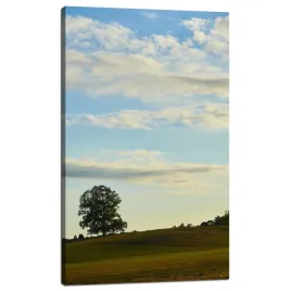 obraz-na-plotnie-natura-drzewko-na-lace-60x100-cm