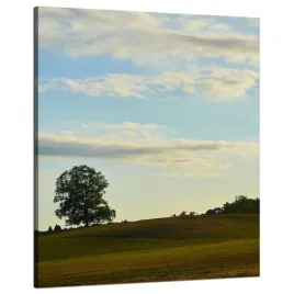 obraz-na-plotnie-natura-drzewko-na-lace-80x100-cm