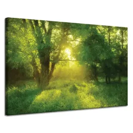 obraz-na-plotnie-pastelowy-styl-drzewo-slonce-120x80-cm-idealny-na-prezent