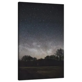 obraz-na-plotnie-kosmos-rozgwiezdzone-niebo-60x120