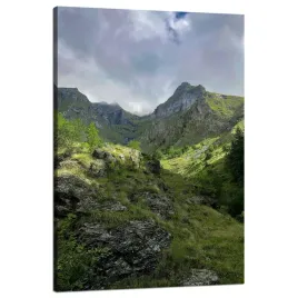 obraz-na-plotnie-natura-obrosniete-gory-80x120-cm