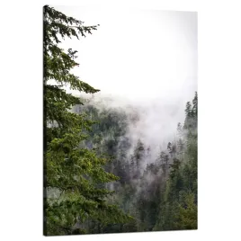 obraz-na-plotnie-natura-zamglone-drzewa-80x120-cm