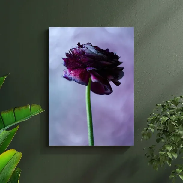 obraz-na-plotnie-botanika-purpurowy-kwiat-80x100-format-pionowy