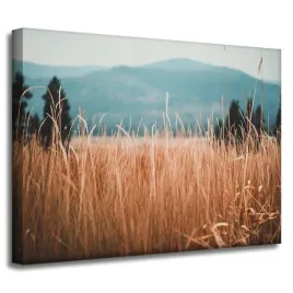 obrazy-na-plotnie-natura-zdzbla-trawy-gory-40x30