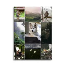 foto-obraz-na-plotnie-kreator-40x60-twoje-zdjecia