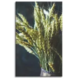 obraz-na-plotnie-botanika-wazon-pszenicy-50x80-cm-stan-nowy