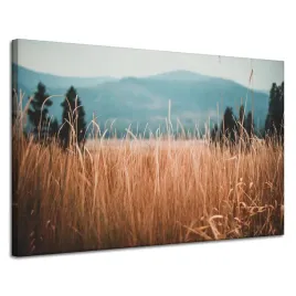obrazy-na-plotnie-natura-zdzbla-trawy-gory-120x80