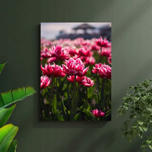 obraz-na-plotnie-botanika-pole-tulipanow-60x100-cm-format-pionowy