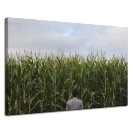 obraz-na-plotnie-natura-pole-kukurydzy-120x80-cm