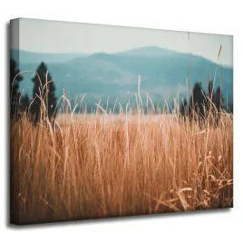 obrazy-na-plotnie-natura-zdzbla-trawy-gory-50x40
