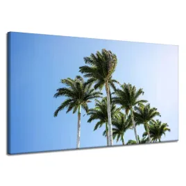 obraz-na-plotnie-natura-palmy-slonce-120x70-cm