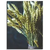 obraz-na-plotnie-botanika-wazon-pszenicy-30x40-cm-stan-nowy