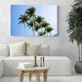 obraz-na-plotnie-natura-palmy-40x30-cm-format-poziomy