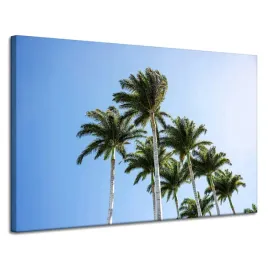 obraz-na-plotnie-natura-palmy-slonce-120x80-cm