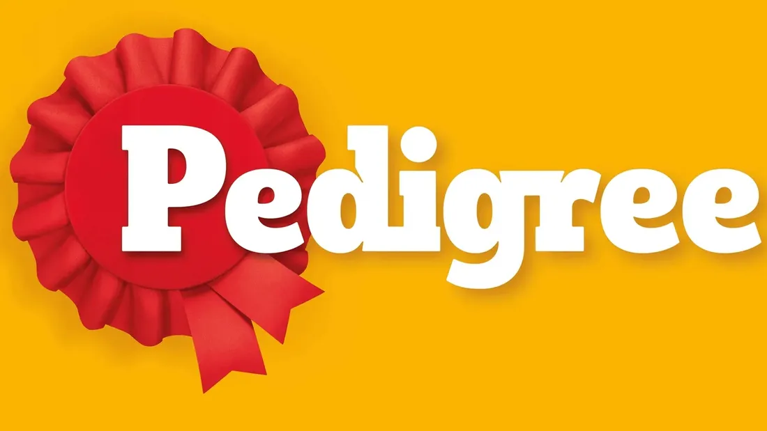 pedigree-dentastix-fresh-270g