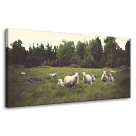obrazy-na-plotnie-natura-owce-na-pastwisku-80x40
