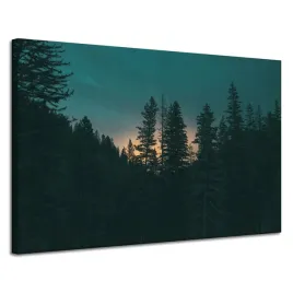obraz-na-plotnie-natura-las-o-zmroku-noc-120x80-cm