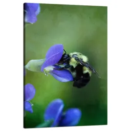 obraz-na-plotnie-botanika-trzmiel-kwiat-80x120-cm