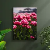 obraz-na-plotnie-botanika-pole-tulipanow-80x120-cm-format-pionowy
