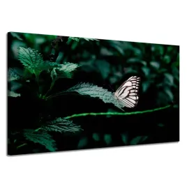 obraz-na-plotnie-natura-motylek-na-lisciu-120x70