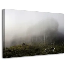 obraz-na-plotnie-natura-mgla-zniszczony-las-90x60
