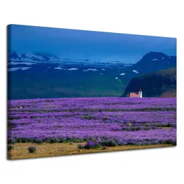 obraz-na-plotnie-natura-pole-lawendy-kwiaty-120x80