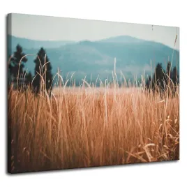 obrazy-na-plotnie-natura-zdzbla-trawy-gory-100x80