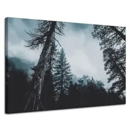 obraz-na-plotnie-natura-korony-drzew-las-120x80-cm