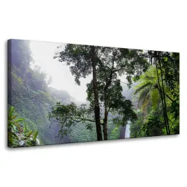 obrazy-na-plotnie-natura-las-tropikalny-80x40-cm