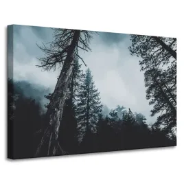 obraz-na-plotnie-natura-korony-drzew-las-90x60-cm