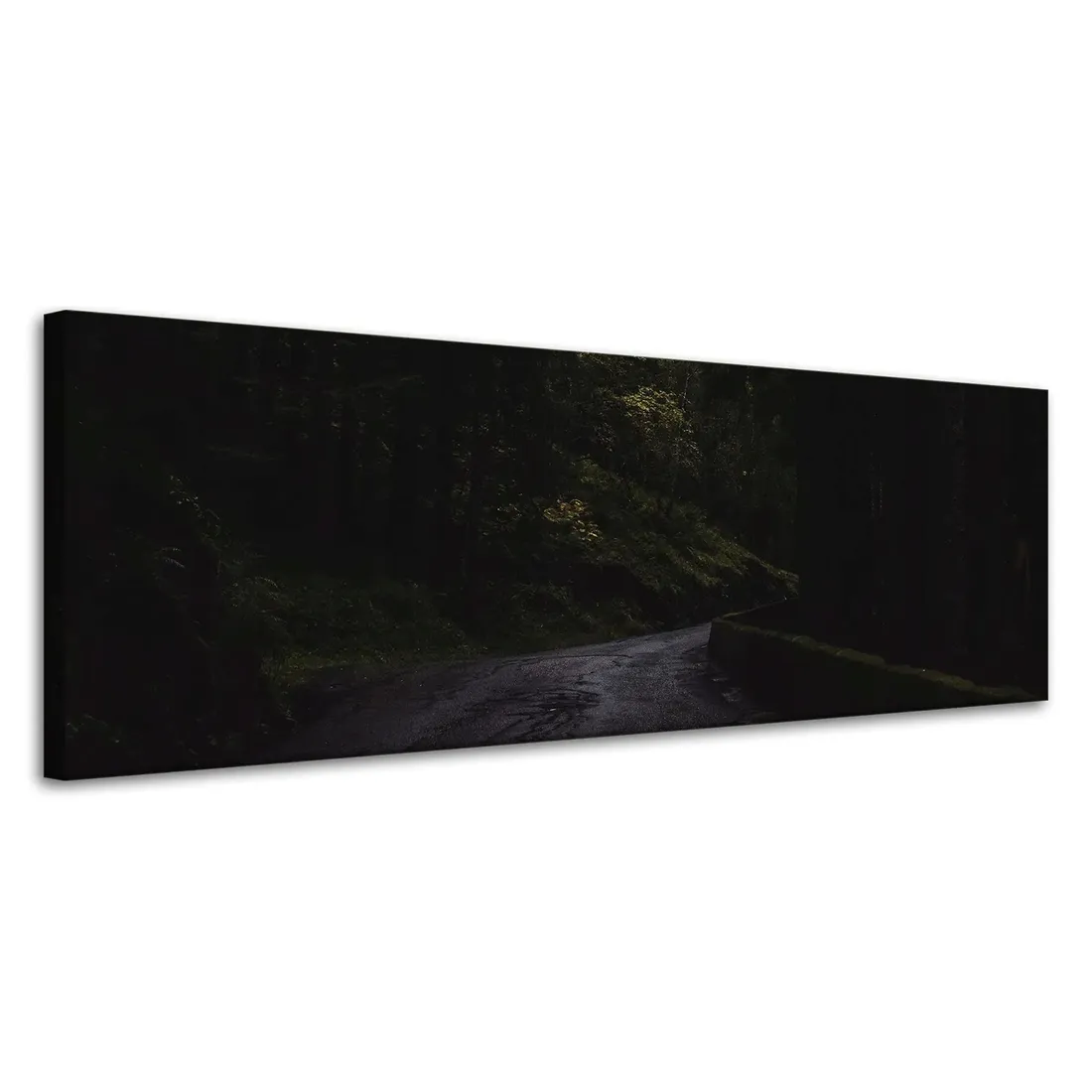 obraz-na-plotnie-natura-droga-mrok-strach-120x40-stan-nowy